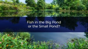 Fish in the Big Pond or the Small Pond?